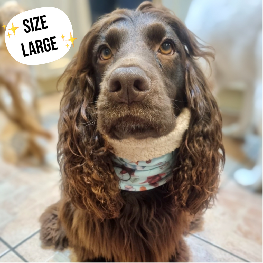 Autumn Blossom Reversible Dog Snood