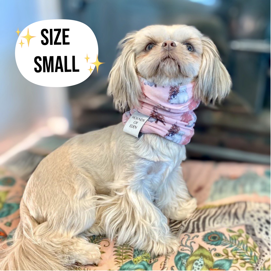 Autumn Blossom Reversible Dog Snood