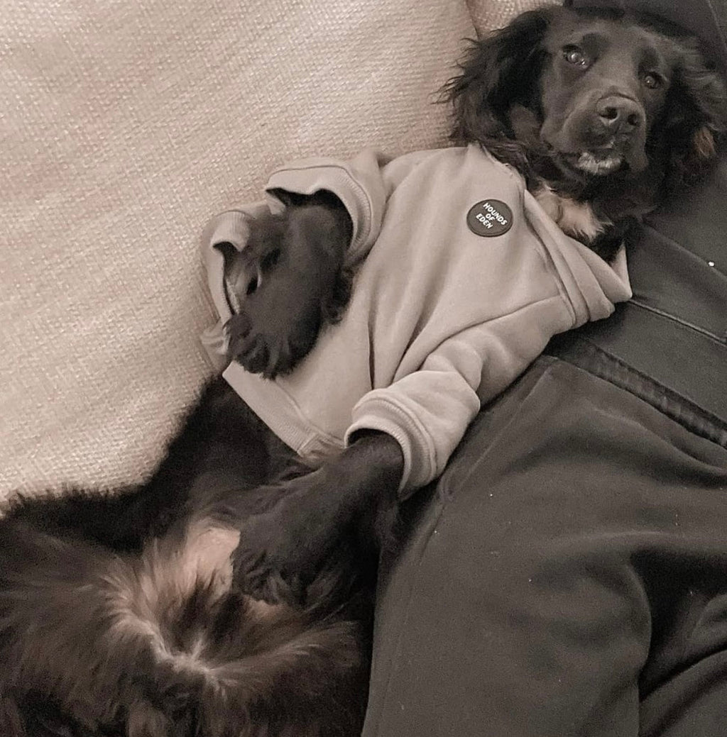 Grey Fleece-Lined Dog Hoodie | Hounds of Eden