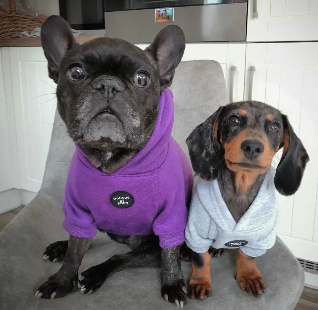 Purple Dog Hoodie