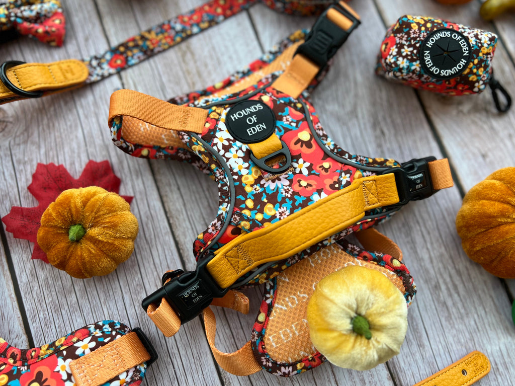 Retro Bloom Dog Supaw Strong Lite™ Harness (XS-XL)