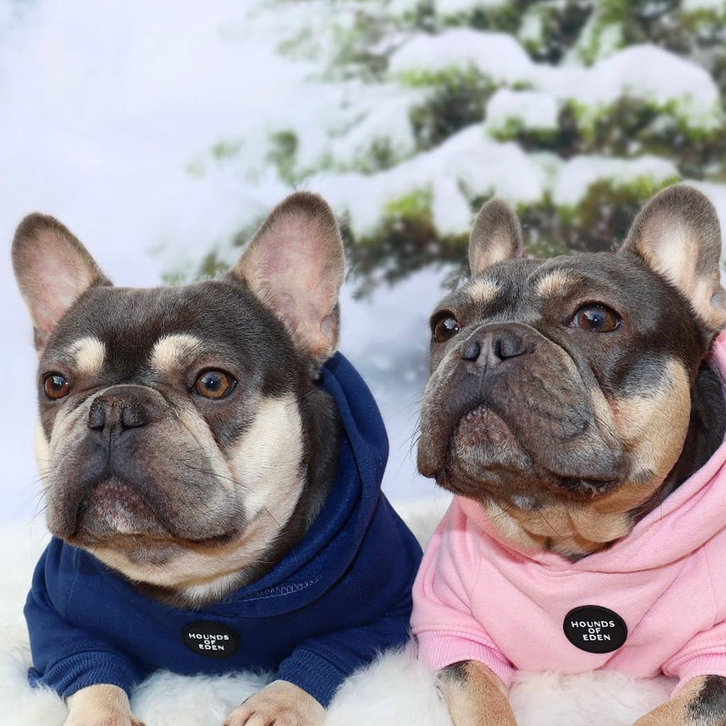 Grey Fleece-Lined Dog Hoodie | Hounds of Eden