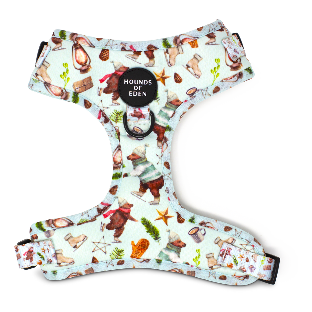 Teddy it's Cold Outside Dog Harness