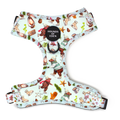 Teddy it's Cold Outside Dog Harness