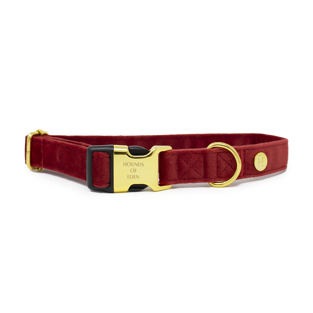 Ruby Red Velvet Dog Harness