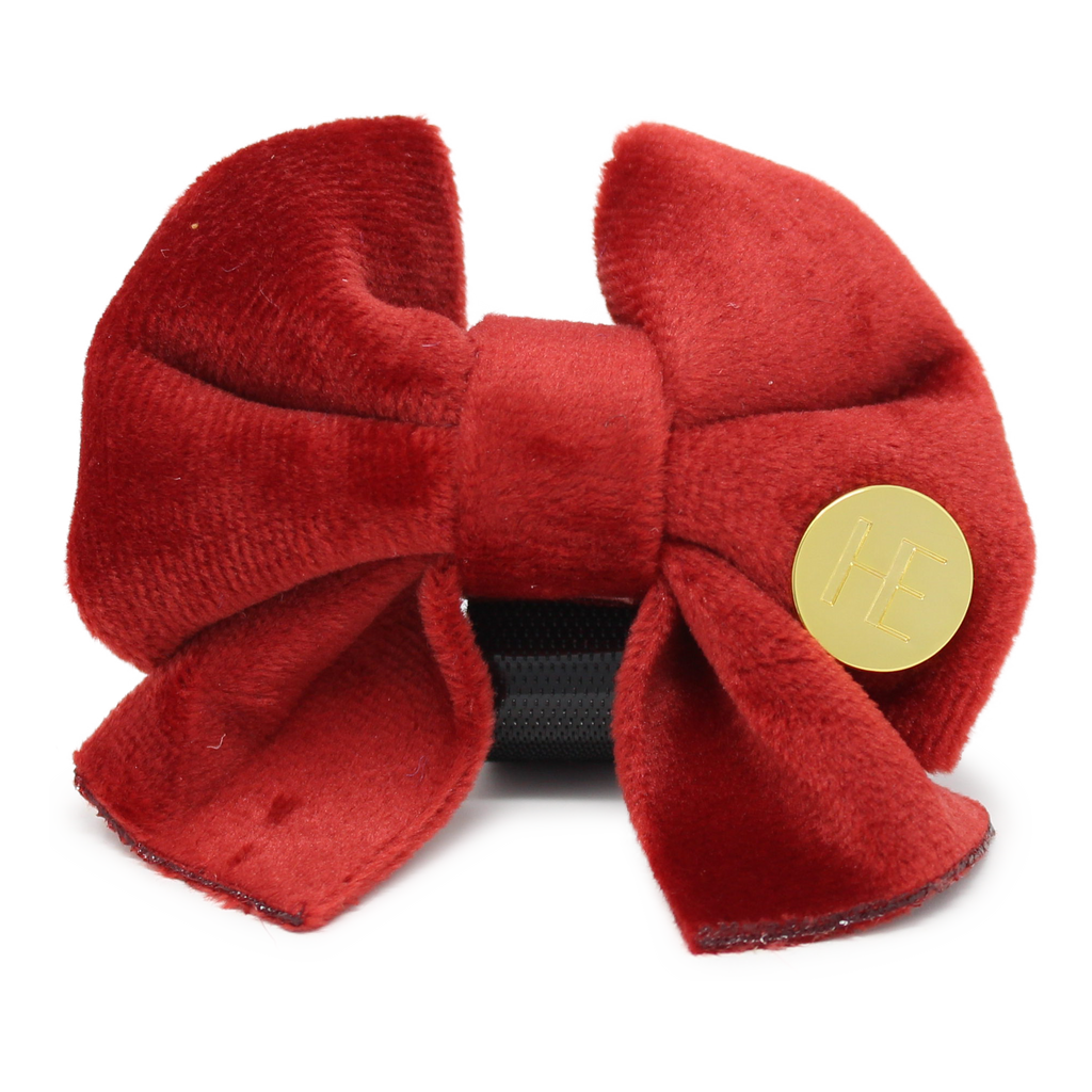 Ruby Red Velvet Dog Harness