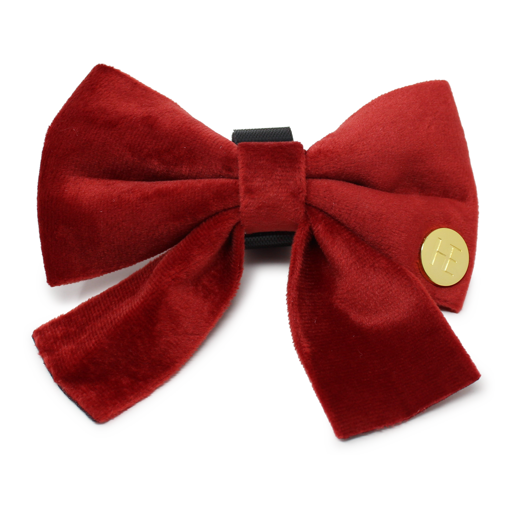 Ruby Red Velvet Dog Harness