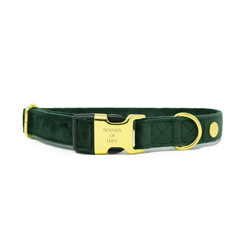 Olive Green Velvet Collar