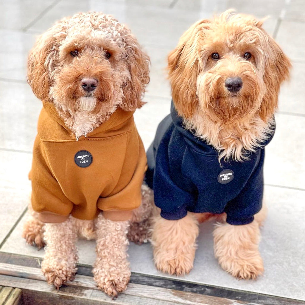 Grey Fleece-Lined Dog Hoodie | Hounds of Eden