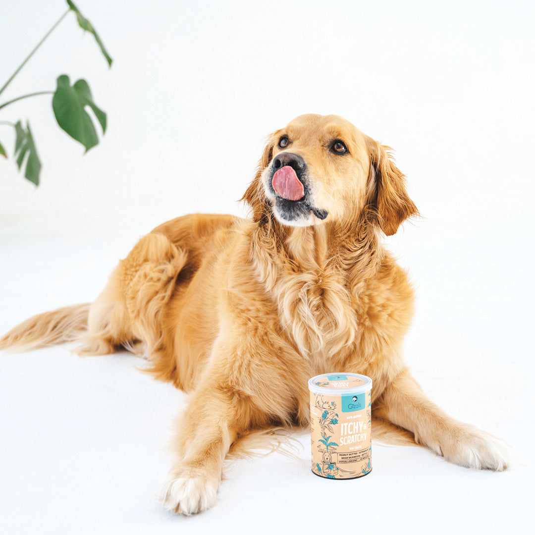 Itchy & Scratchy Dog Treats