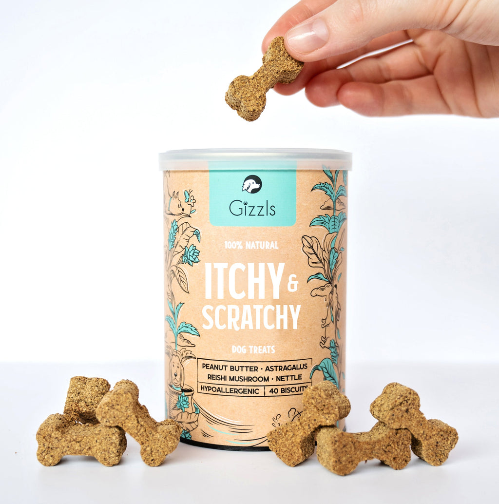 Gizzls Wellness Bundle | 6 Dog Supplements