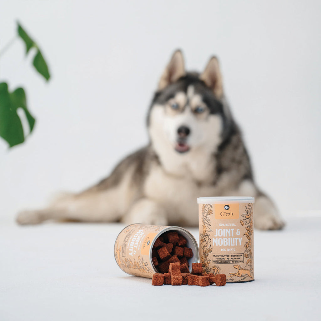 Joint & Mobility Dog Treats