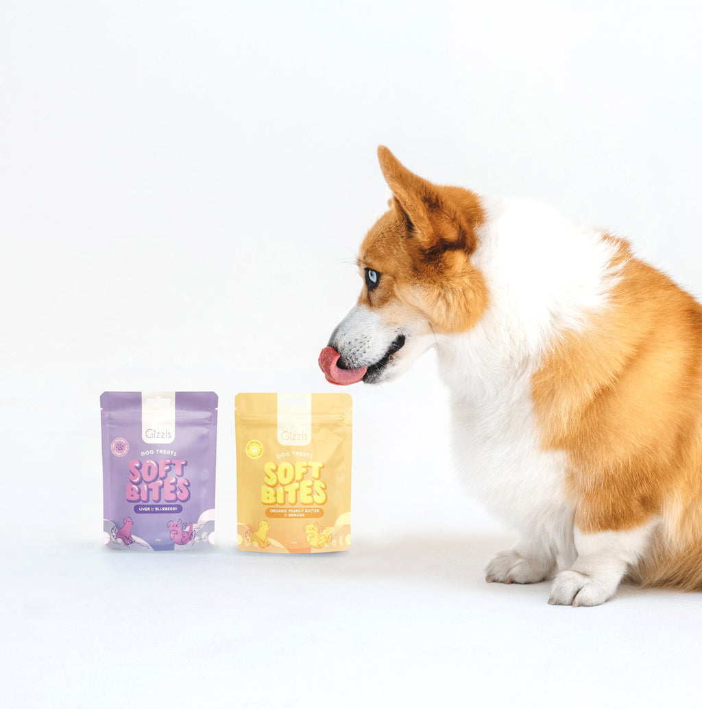Soft Bites Treat Bundle (150g)