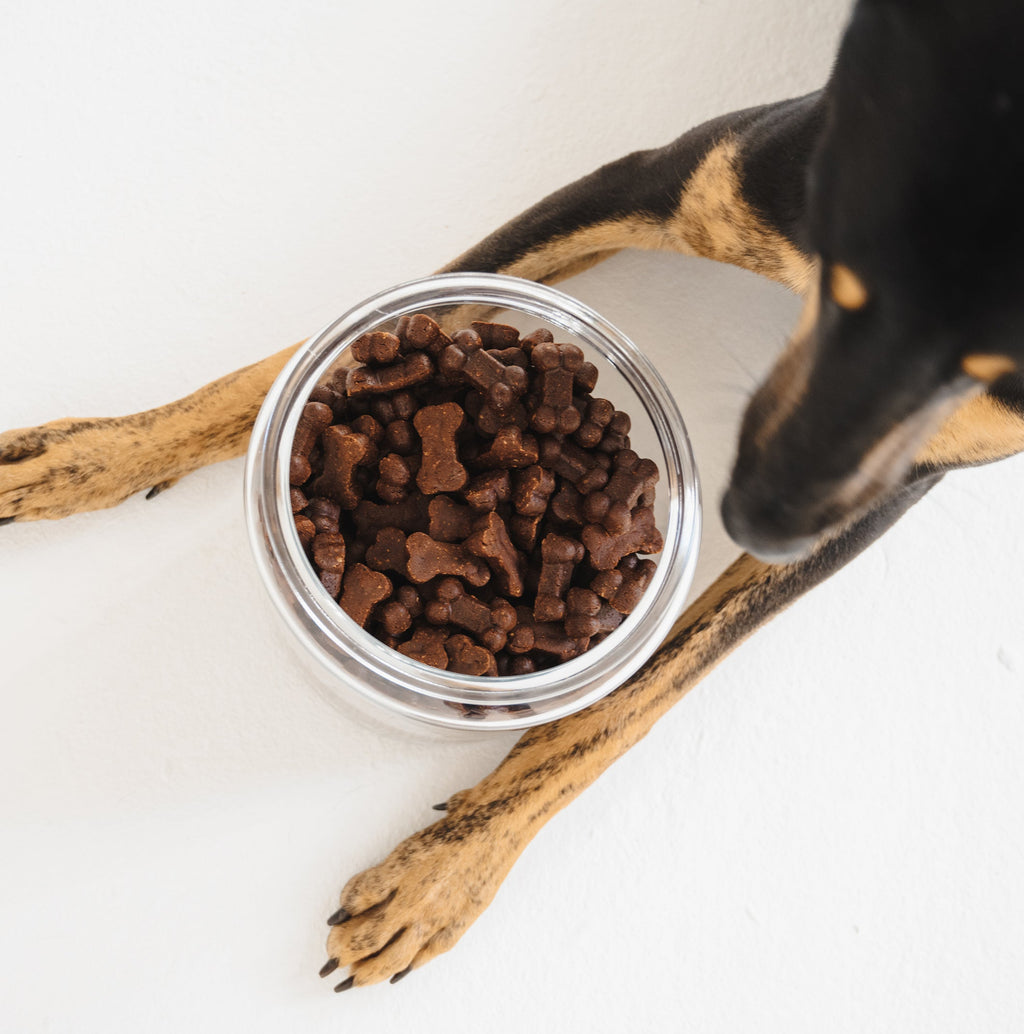 Ostrich Liver & Blueberry Soft Dog Treats (150g)