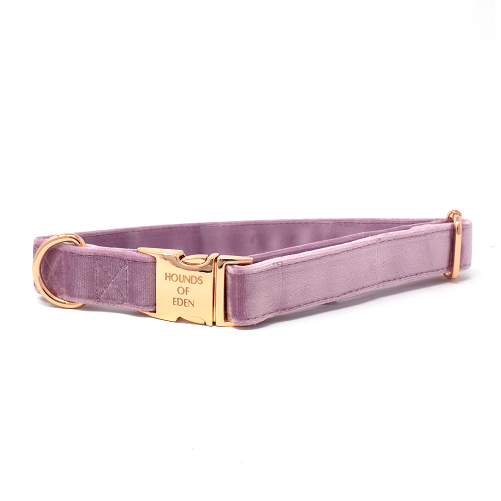 Lilac Dreams Velvet Dog Harness with Rose-Gold Hardware