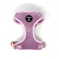 Lilac Dreams Velvet Dog Harness with Rose-Gold Hardware