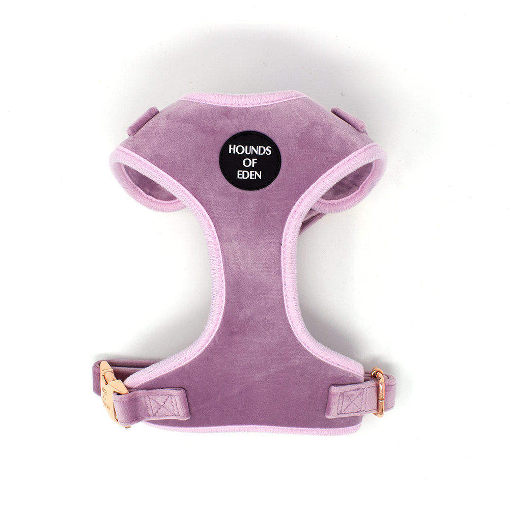 Lilac Dreams Velvet Dog Harness with Rose-Gold Hardware