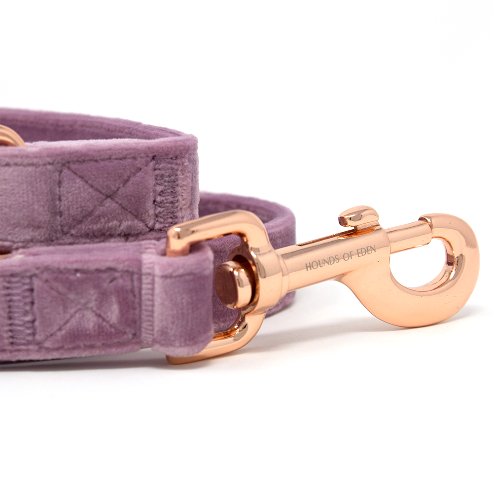 Lilac Dreams Lilac Velvet Dog Lead with Rose-Gold Hardware