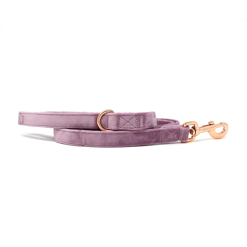 Lilac Dreams Lilac Velvet Dog Lead with Rose-Gold Hardware