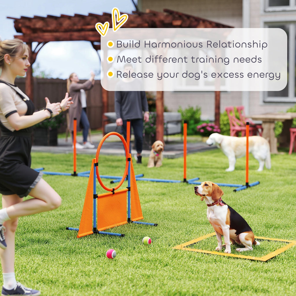 PawHut 6-Piece Dog Agility Training Set 🐾
