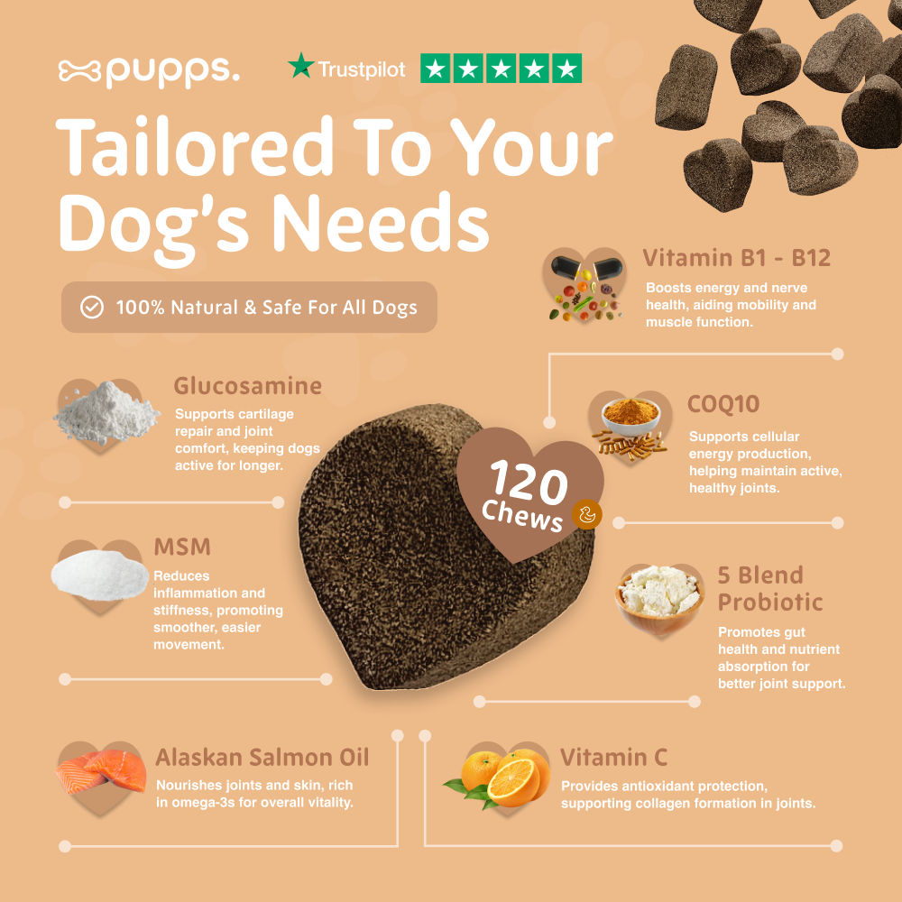 Pupps Hip & Joint Treats for Dogs