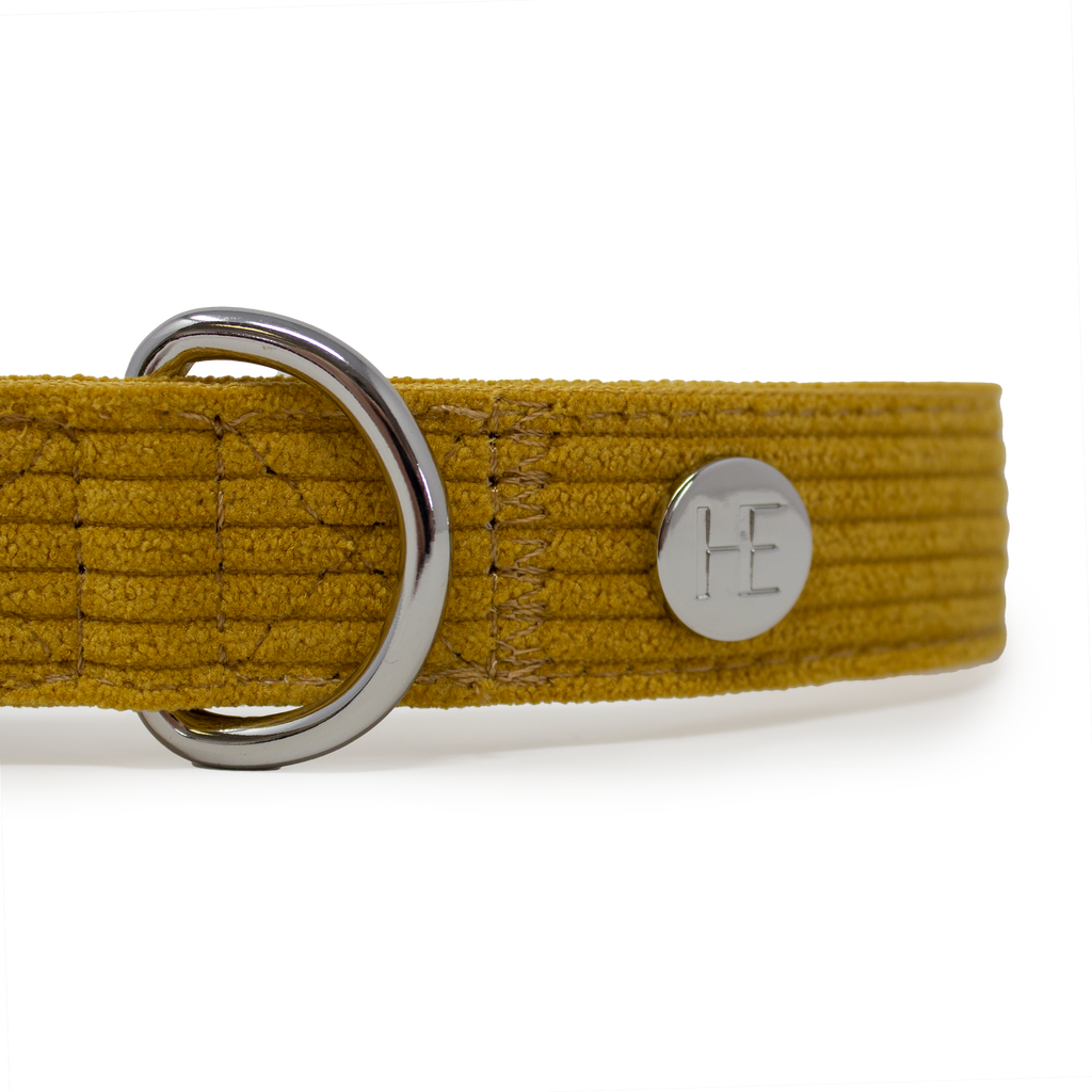 Mustard Yellow Corduroy Collar