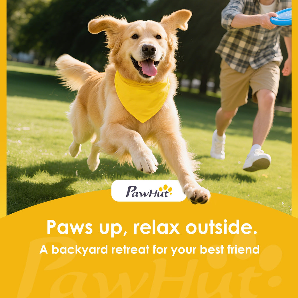 PawHut 8-Piece Dog Agility Training Set 🐾