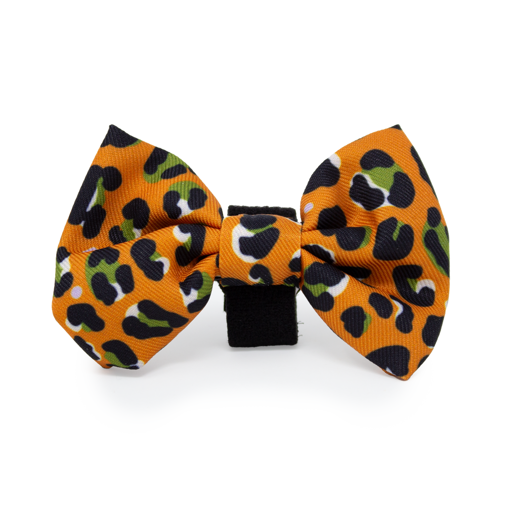 Burnt Orange Leopard Design Dog Collar