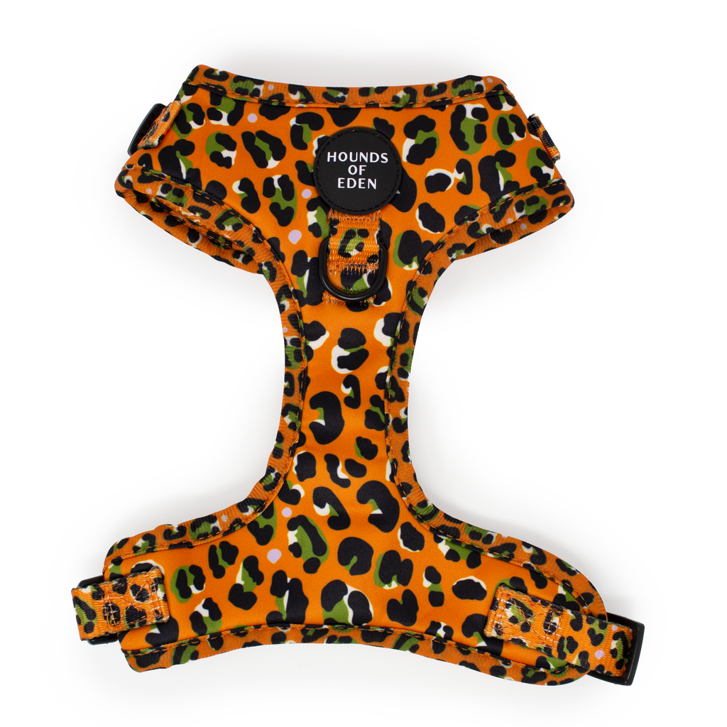 Burnt Orange Leopard Design Dog Collar