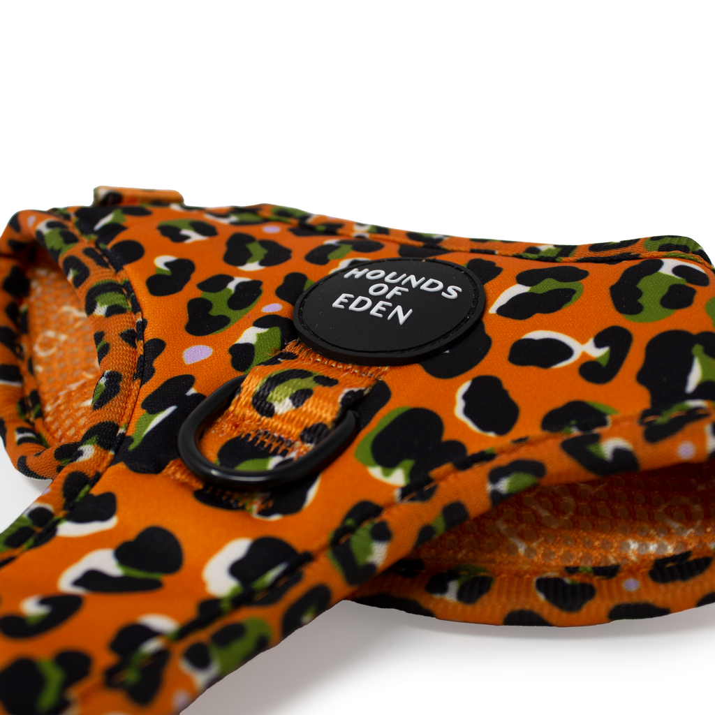Burnt Orange Leopard Design Dog Collar