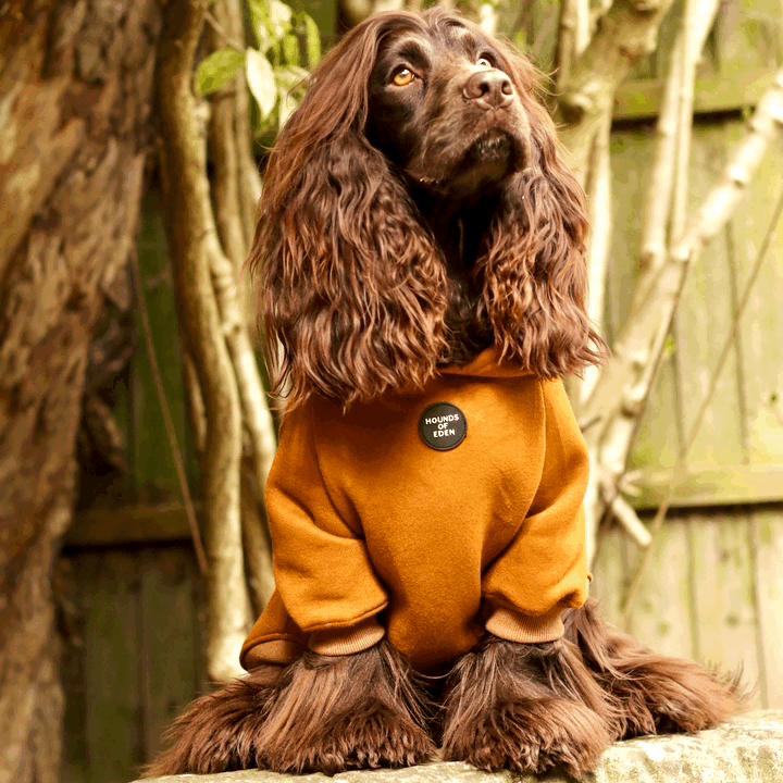 Grey Fleece-Lined Dog Hoodie | Hounds of Eden