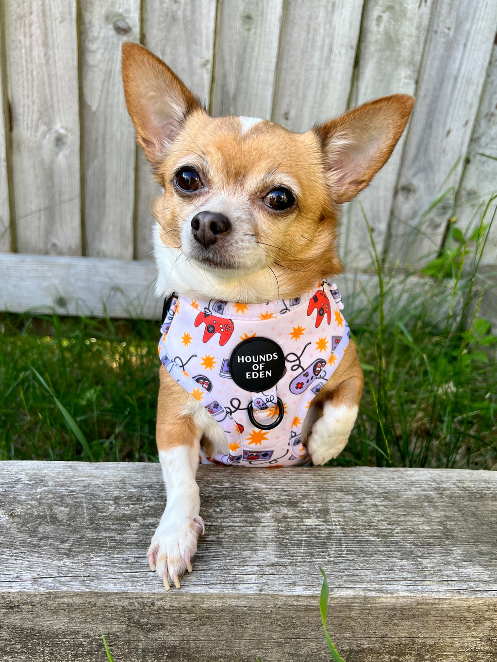 Nintendawg Design Dog Collar