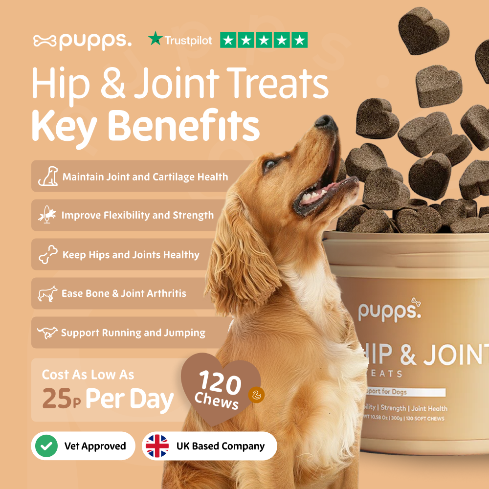 Pupps Hip & Joint Treats for Dogs
