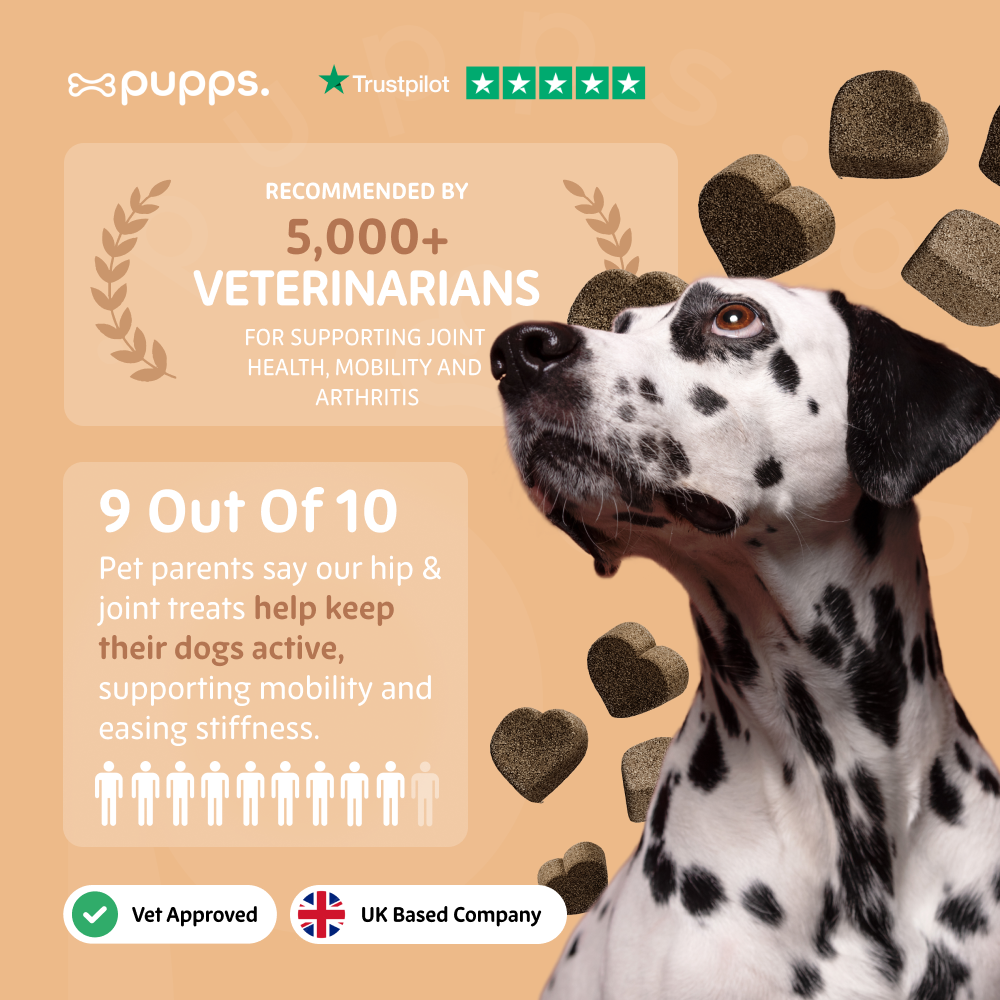 Pupps Hip & Joint Treats for Dogs