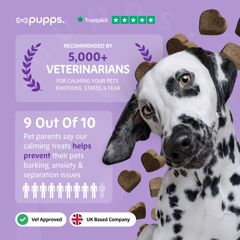 Pupps Calming Treats for Dogs