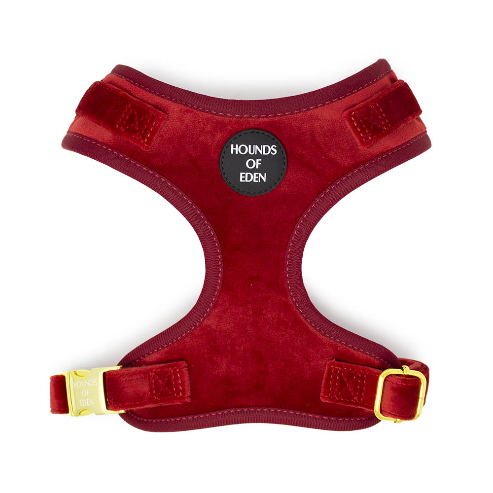 Ruby Red Velvet Dog Harness