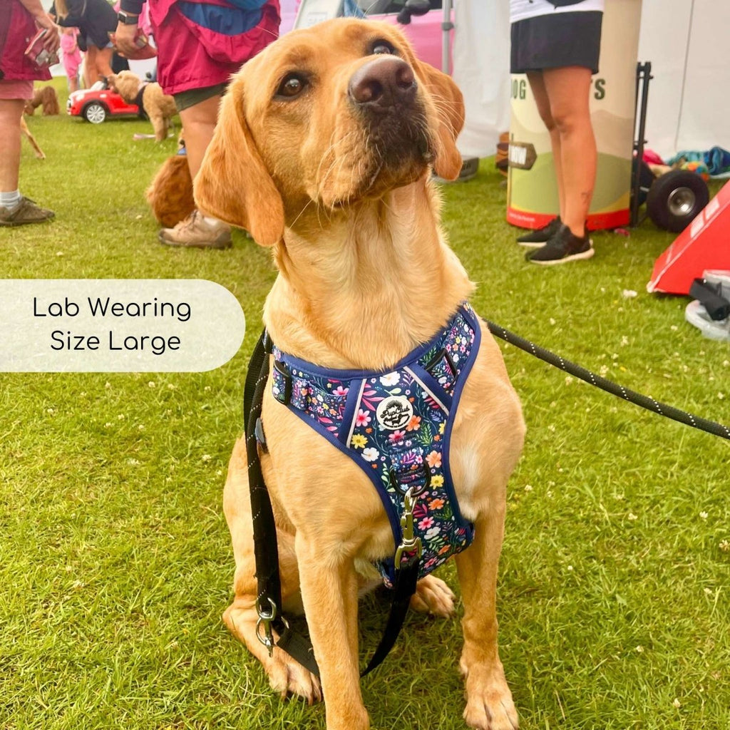 Rugged Rover™ Summer Meadow Dog Harness