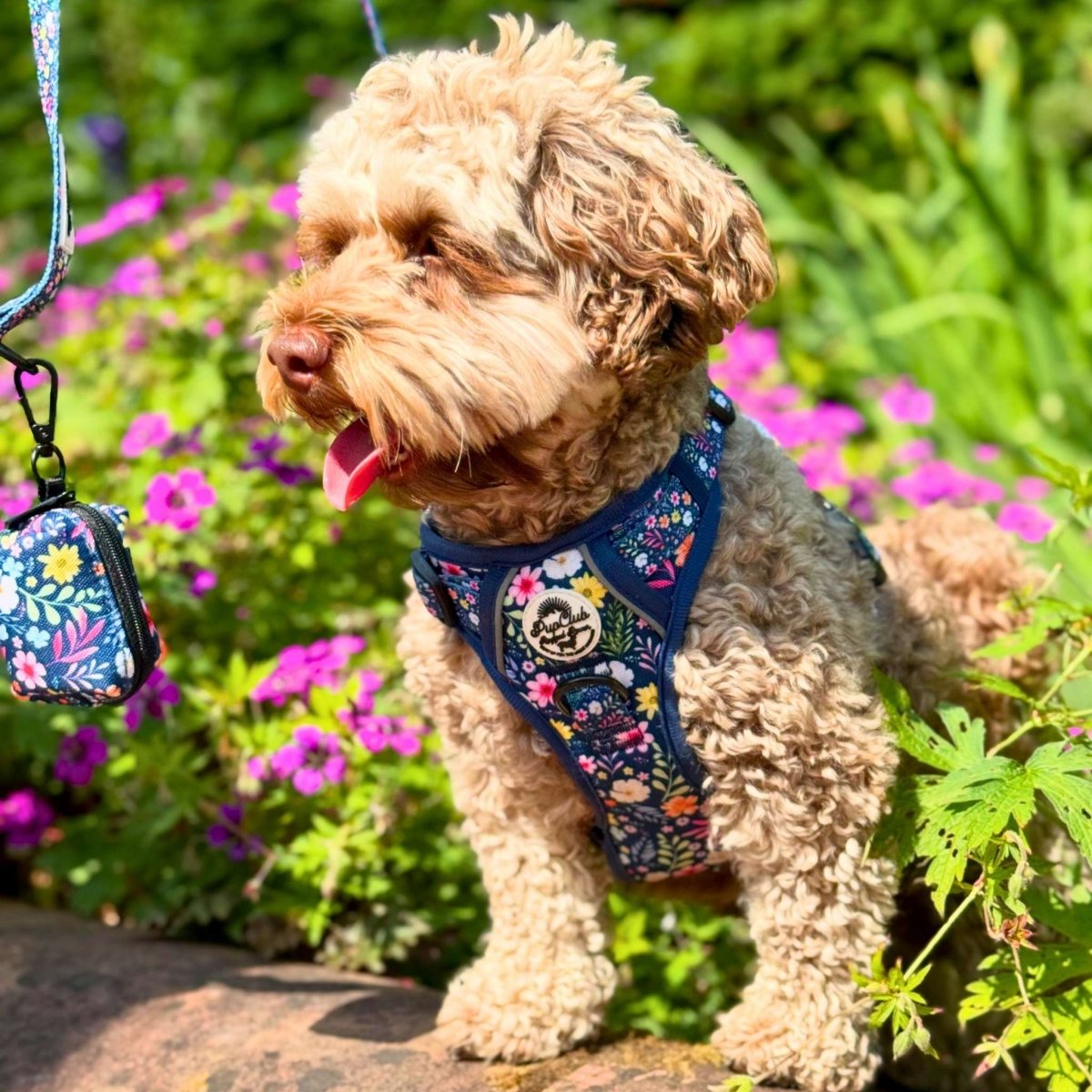 Rugged Rover™ Summer Meadow Dog Harness