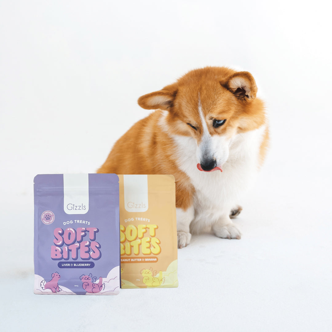 GIZZLS OSTRICH LIVER & BLUEBERRY SOFT DOG TREATS – 300G