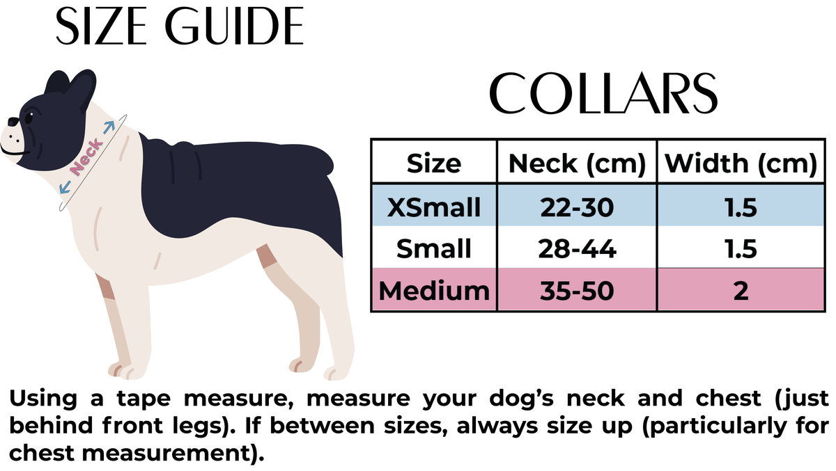 Country Pupkin Autumn Dog Collar