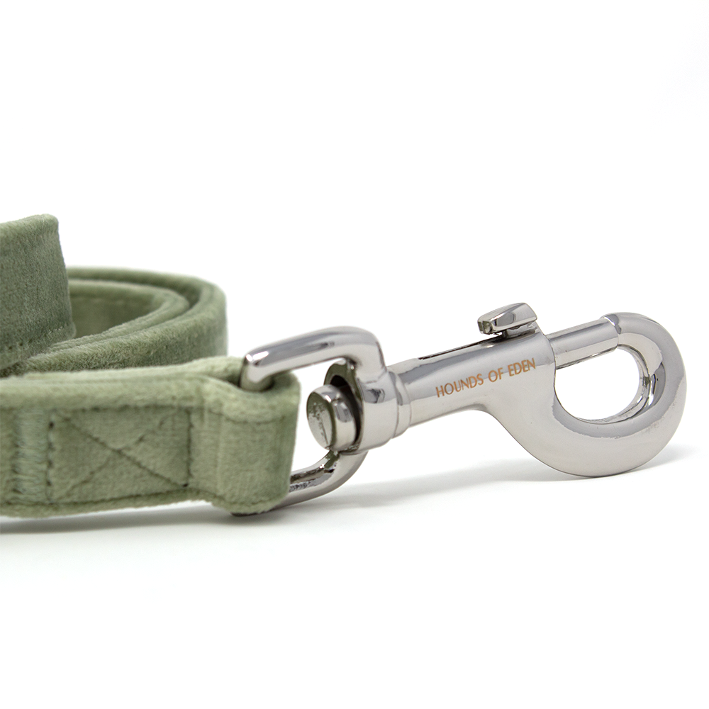 Sage Mist Green Velvet Dog Lead with Silver Hardware