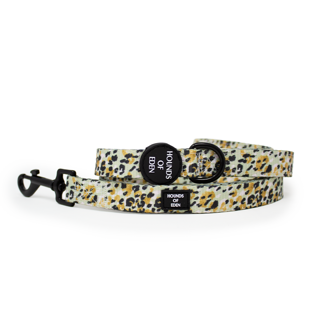 Sage Leopard Design Dog Collar