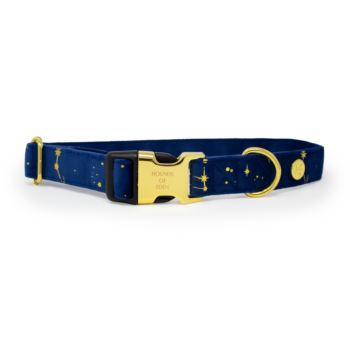 Sapphire Stars Velvet Collar
