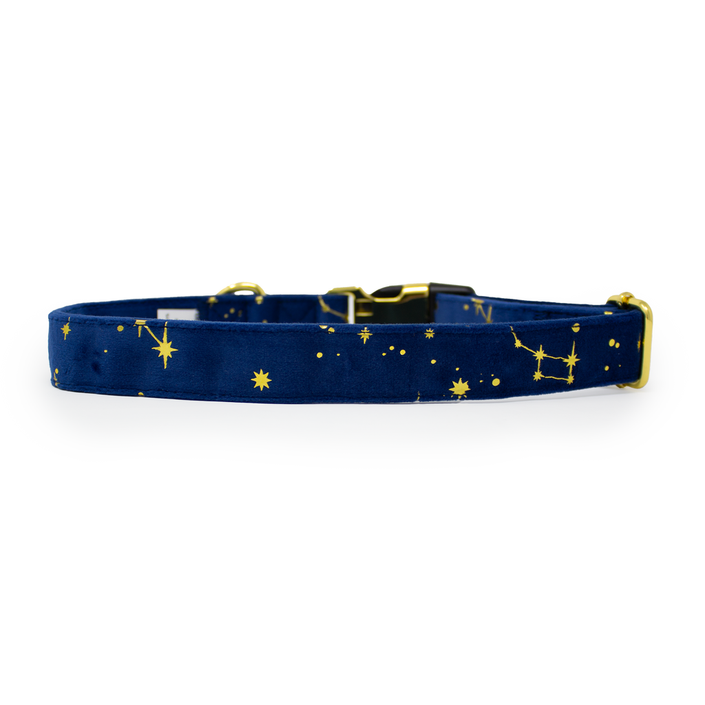 Sapphire Stars Velvet Harness
