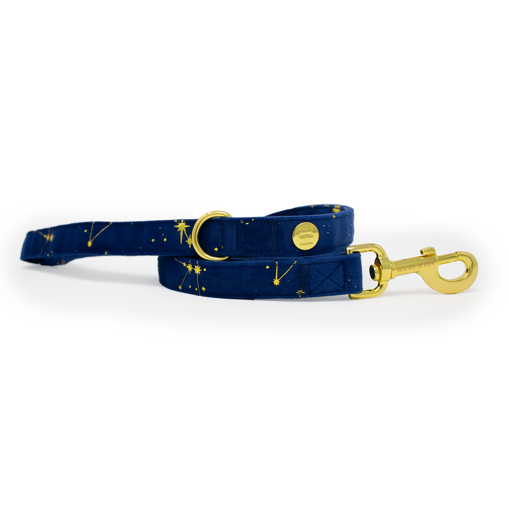 Sapphire Stars Velvet Collar
