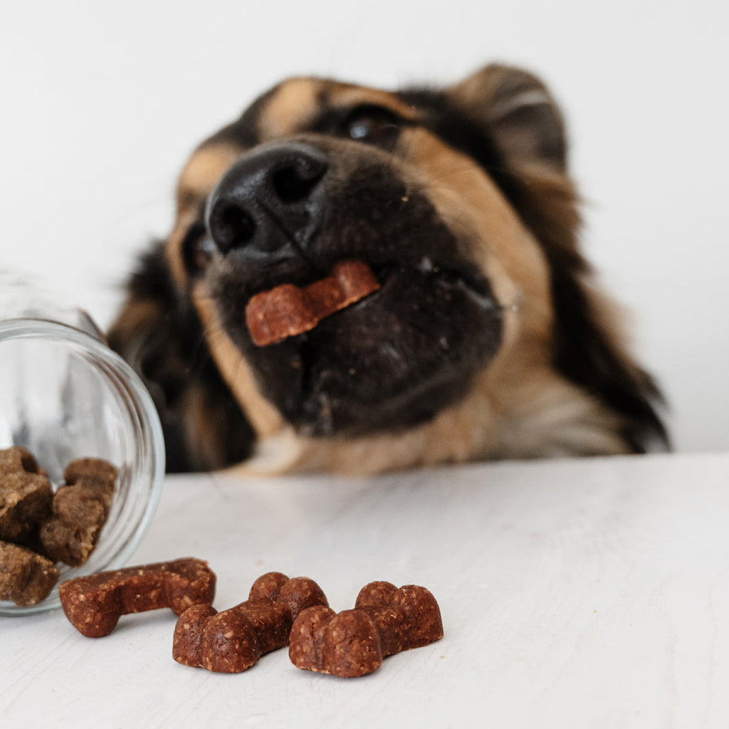 Soft Bites Treat Bundle (300g)