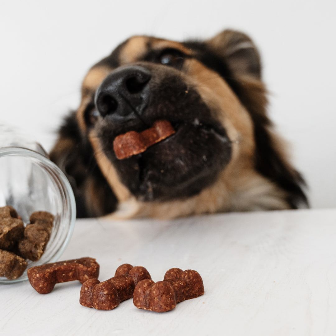 Soft Bites Treat Bundle (300g)