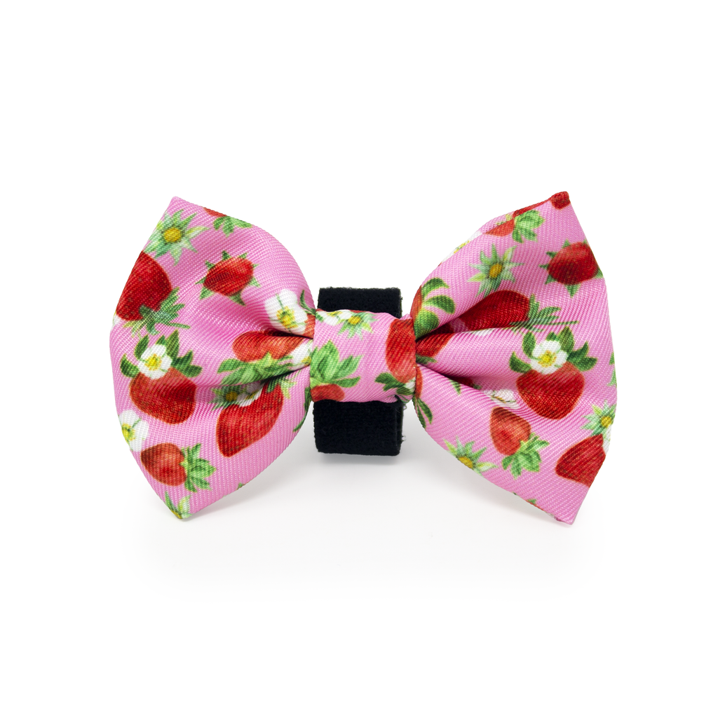 Strawberry Patch Design Dog Harness