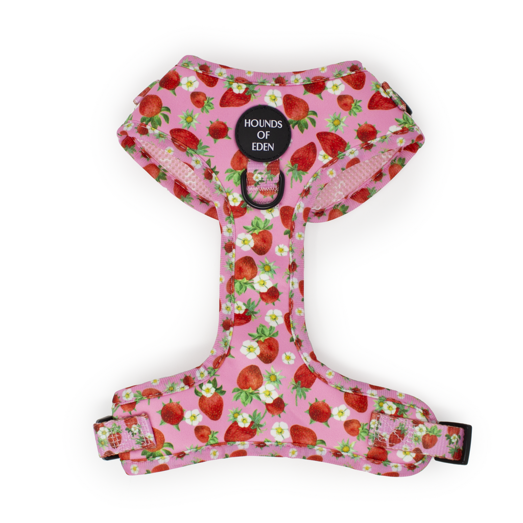 Strawberry Patch Design Dog Harness