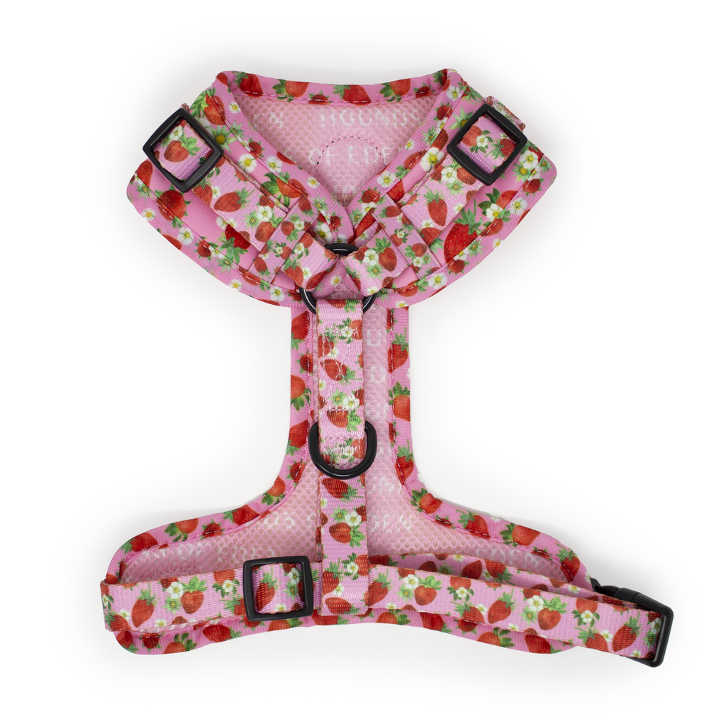 Strawberry Patch Design Dog Harness